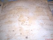 DSC02375.jpg