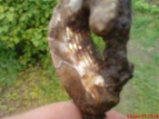 DSC00935.jpg