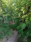 Pulsar Phantom 4x60 (gen.2+) Приціл день/ніч ..