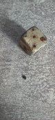 20250523_101846.jpg