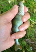 IMG_20250524_113713067_HDR (1).jpg
