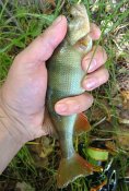 IMG_20250524_122730991_HDR (1).jpg