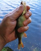 IMG_20250524_124338142 (1).jpg