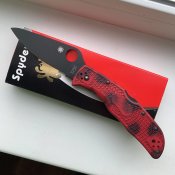 IMG_5290.jpeg