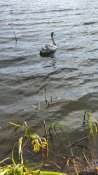 IMG_20250523_190225-min.jpg