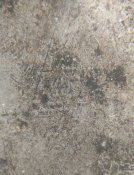 IMG_20250526_195945.jpg
