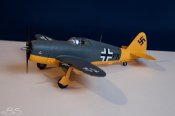 MG_6882.jpg