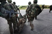 Кітель Lightweight DPM ЗС Британії - 190/120