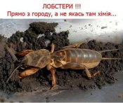 г1.jpg