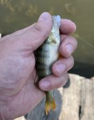 IMG_0669.jpeg