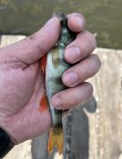IMG_0672.jpeg