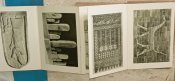 Листівки открытки Берлин 1931 Berlin museum postkarte східний музей