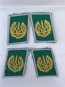 Петлиці вишиті(золотистими нитками)