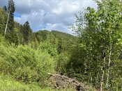 IMG_0344.JPEG