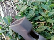Кацапський підсумок для рації Азарт