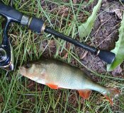IMG_20250525_113510105_HDR (1).jpg