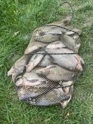 IMG_6305.jpeg