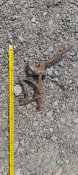 IMG_0328.jpeg