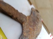 IMG_20250607_202734_768.jpg