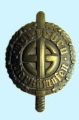 Military Sports Badge of the Romanian Volksdeutsche Community (1).jpg