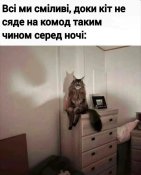 IMG-5912bbc38e53e87c054315e80560f538-V.jpg