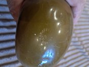 20250611_082704.jpg
