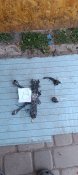 Дрон fpv  сбитый 2