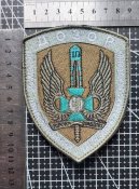 Шеврон  Дозор № 1919