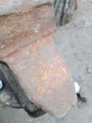 IMG_20250315_170213.jpg