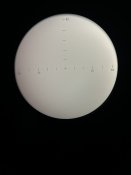 IMG_4042.jpeg