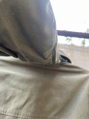 Парка Швейцарія олива