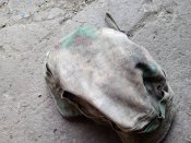 Кацапська панама Мох
