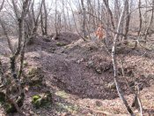 IMG_0399.JPG