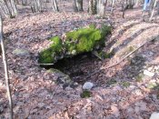 IMG_0404.JPG