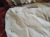 IMG_20250621_085936772.jpg