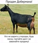 2_.jpg
