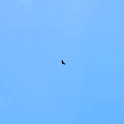 in_the_sky_000029.jpg