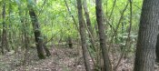 IMG_20250622_144021.jpg