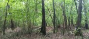 IMG_20250622_144027.jpg