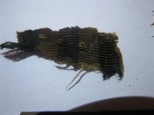 IMG_0052.JPG