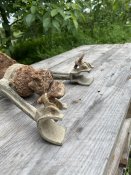 IMG_8240.jpeg