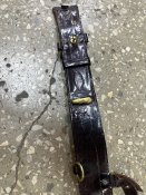IMG_5318.jpeg