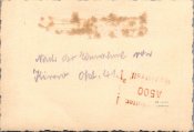 Foto, Wk2,  Soldaten nach der Einnahme von Kirow in Russland XT55157.jpg