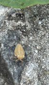 IMG_4253.jpeg