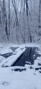 IMG_20231122_074612.jpg