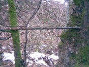 IMG_20250628_215437_944.jpg
