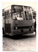 Ikarus 260.jpg