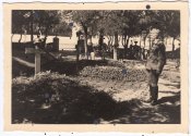 КРИВОЙ РОГ Orig.Foto Grab Gräber Helden Friedhof Krywyj Rih Dnipropetrowsk Ukraine Russland.jpg
