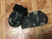 Кукавиці зимні