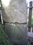 S3020021.JPG